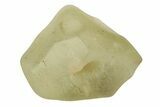 Libyan Desert Glass ( g) - Meteorite Impactite #239013-1